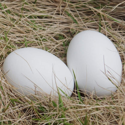 Easter Wooden Eggs White Fake Eggs to Paint Paintable Wood Eggs for Crafts Easter Decorations