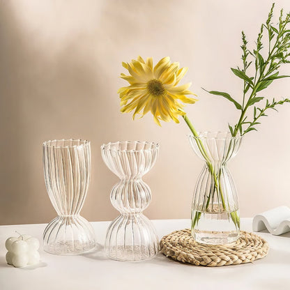 Vase en verre transparent à rayures esthétiques d'automne