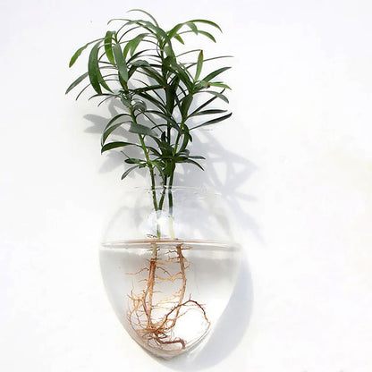 Glass Wall Hanging Flower Vase cottagecore nature planter pot