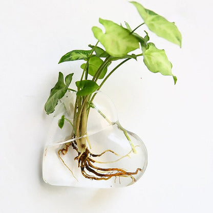 Glass Wall Hanging Flower Vase cottagecore nature planter pot