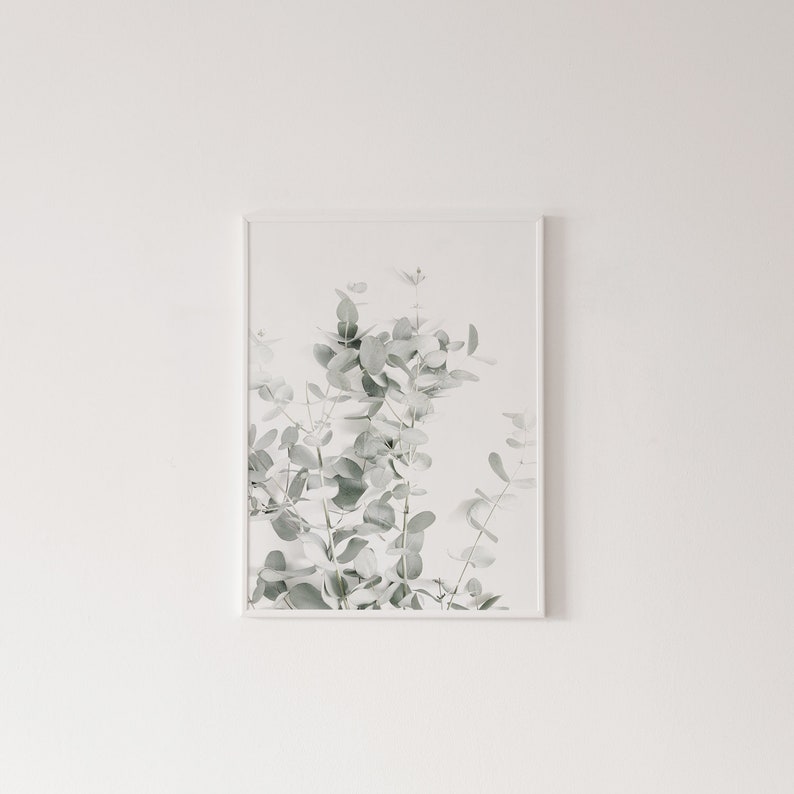 Botanical Canvas Paintings (3 Pack)