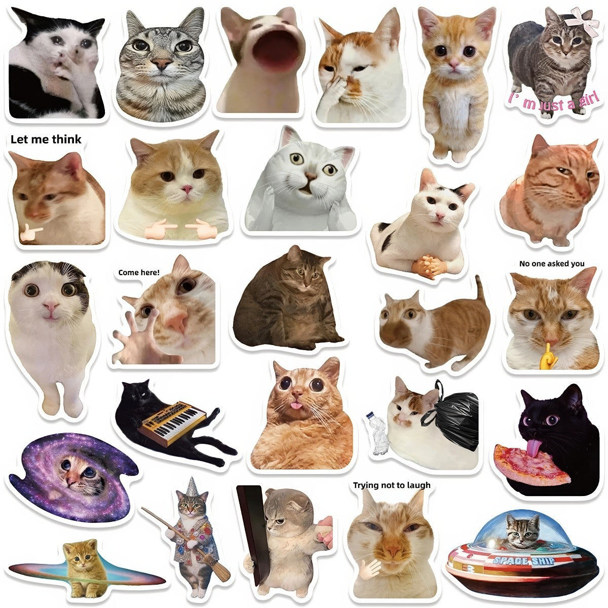 Kitty Meme Sticker Pack