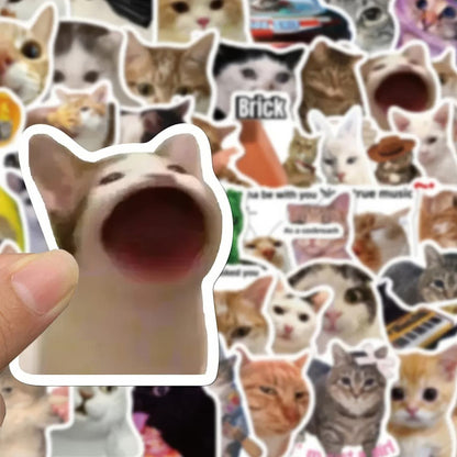 Kitty Meme Sticker Pack