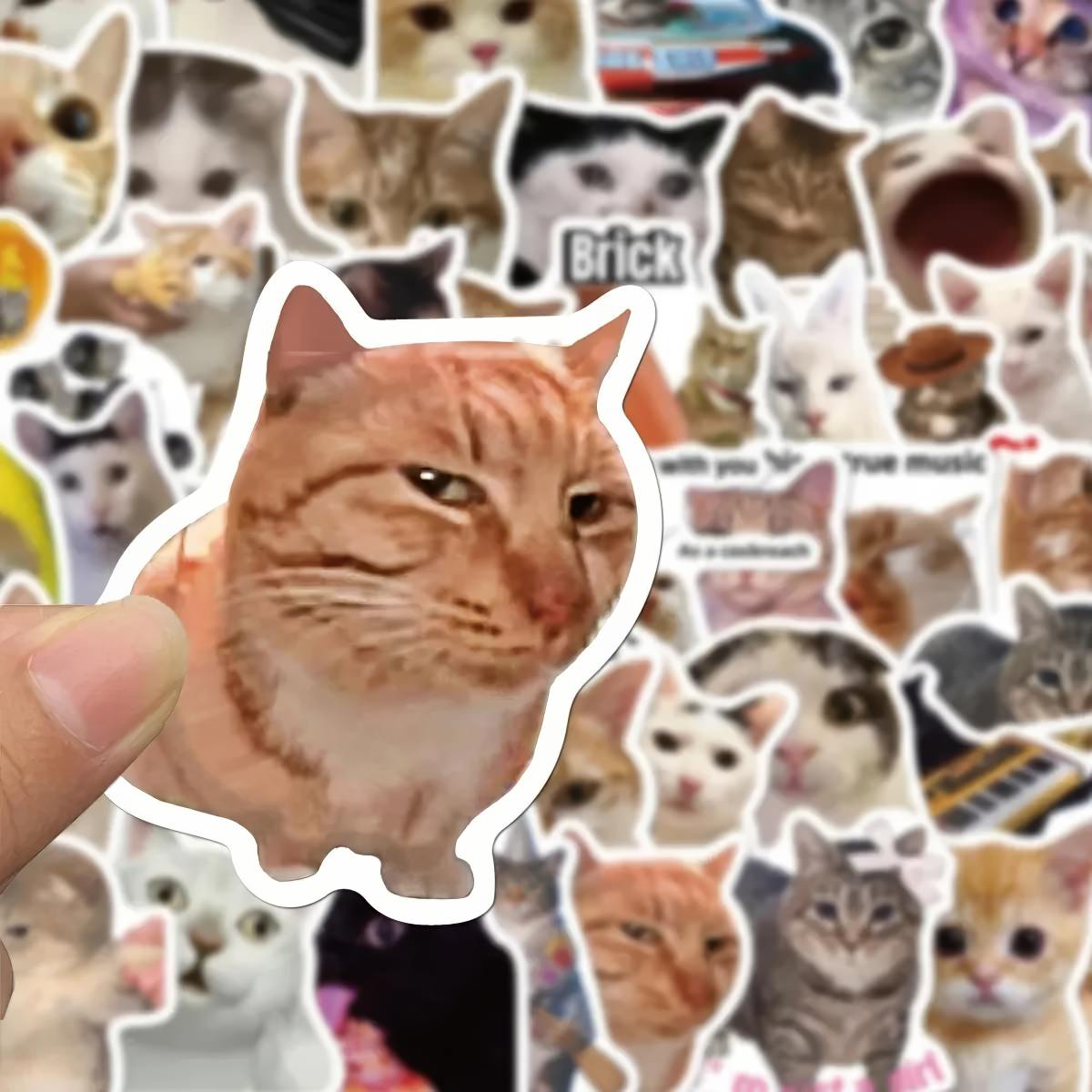 Kitty Meme Sticker Pack