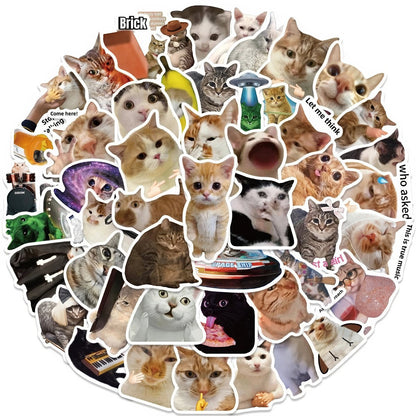 Kitty Meme Sticker Pack
