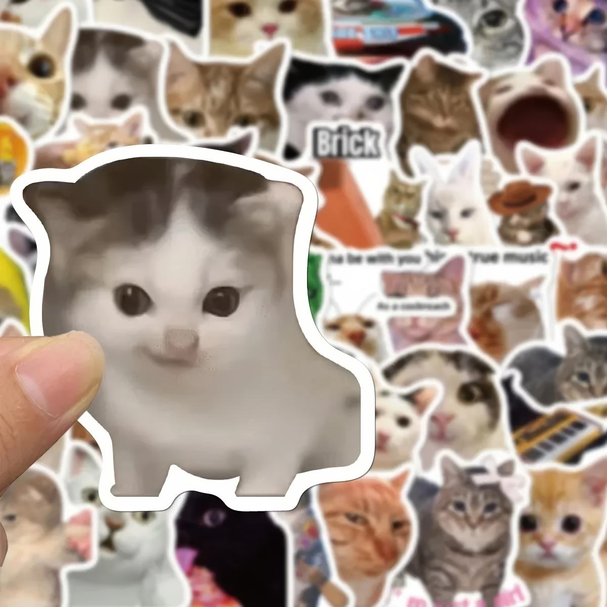 Kitty Meme Sticker Pack