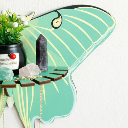 Luna Moth Wall Display Shelf