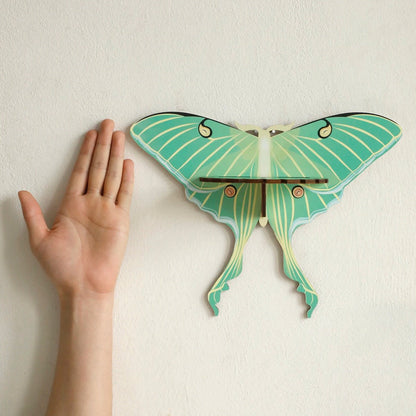 Luna Moth Wall Display Shelf