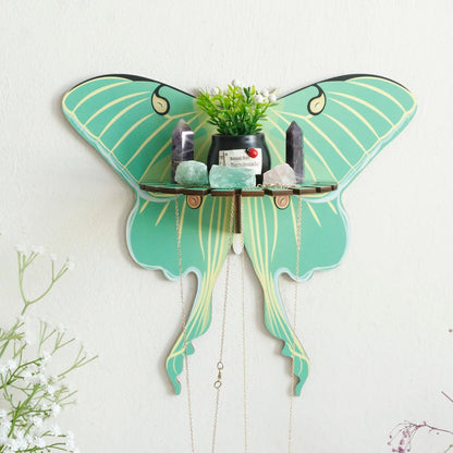 Luna Moth Wall Display Shelf
