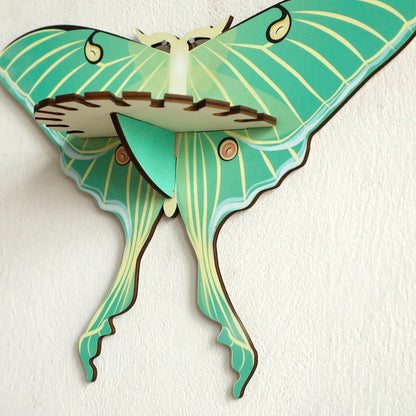 Luna Moth Wall Display Shelf