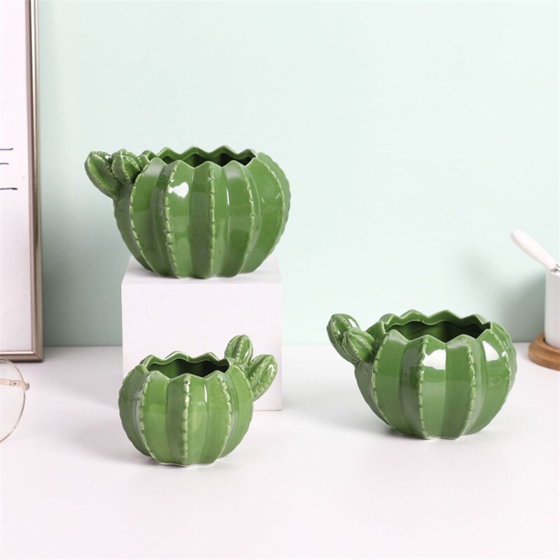 Vaso da fiori in ceramica di cactus