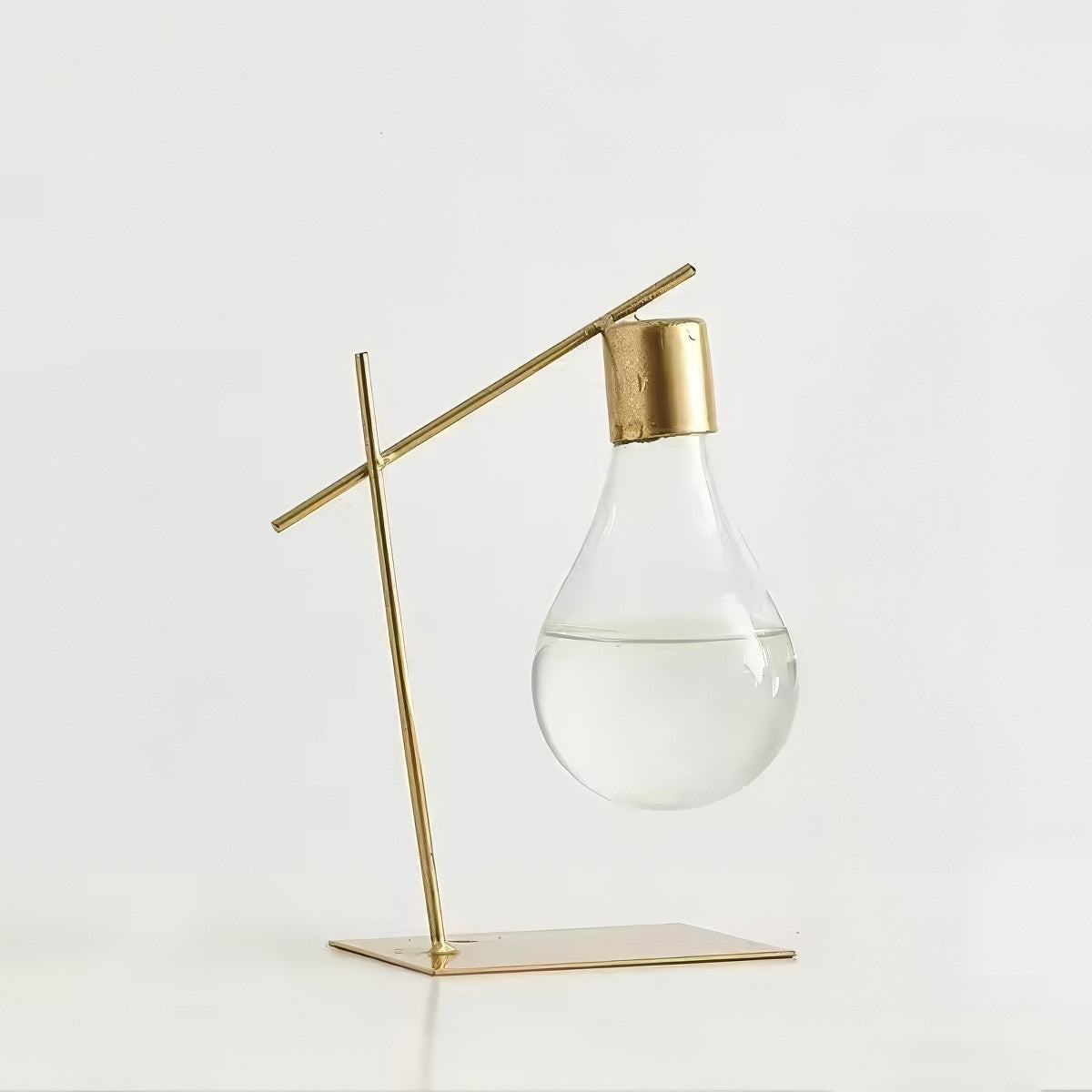 Vase hydroponique minimaliste à ampoule