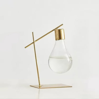 Vase hydroponique minimaliste à ampoule