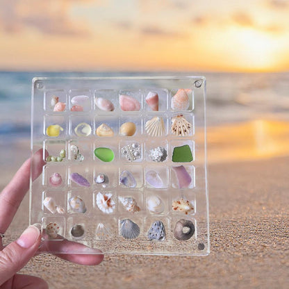 Seashell Display Box