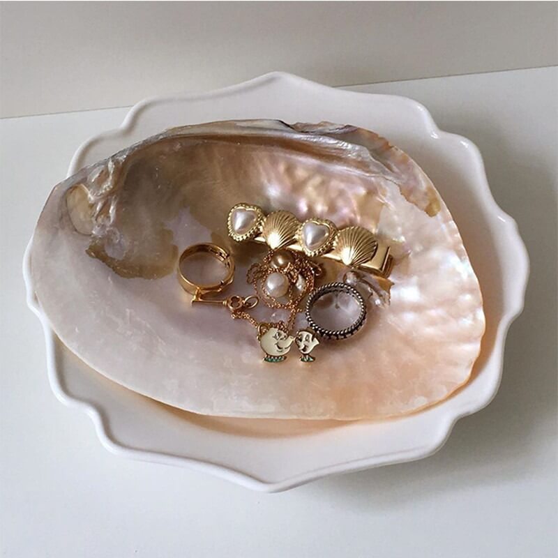 Natural Seashell Jewelry Tray organizer storage