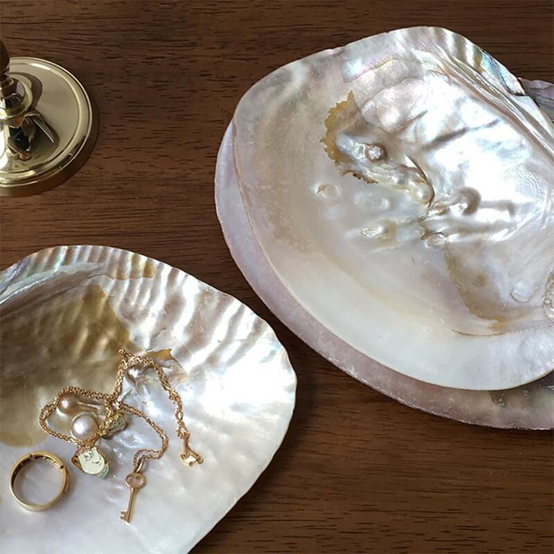 Natural Seashell Jewelry Tray organizer storage