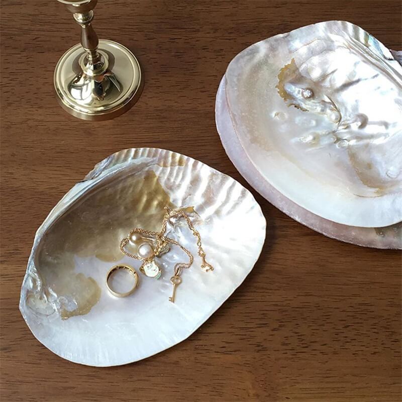 Natural Seashell Jewelry Tray organizer storage