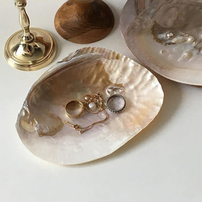 Natural Seashell Jewelry Tray organizer storage