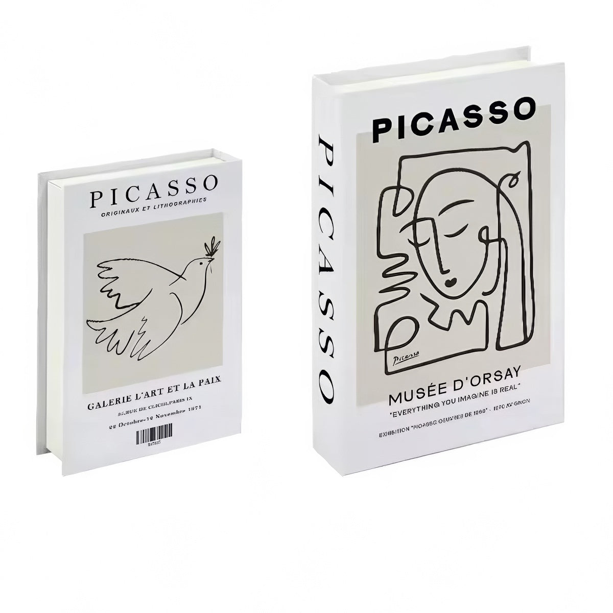 Picasso Minimalist Fake Book Storage Box