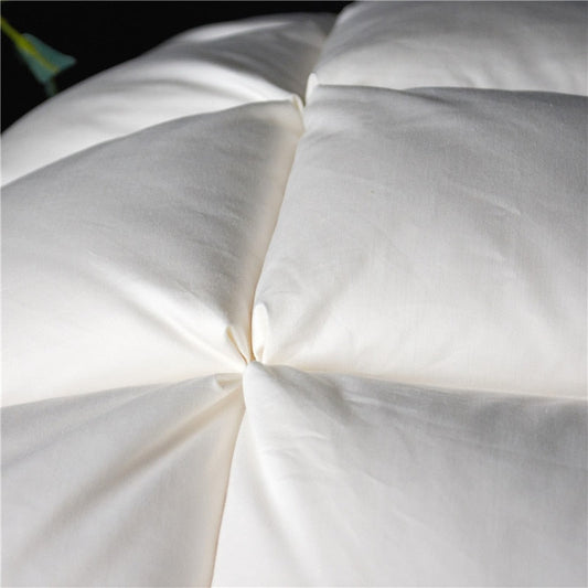 Aura Premium Natural Goose Down Pillow Set (Pair) Matching Pillows