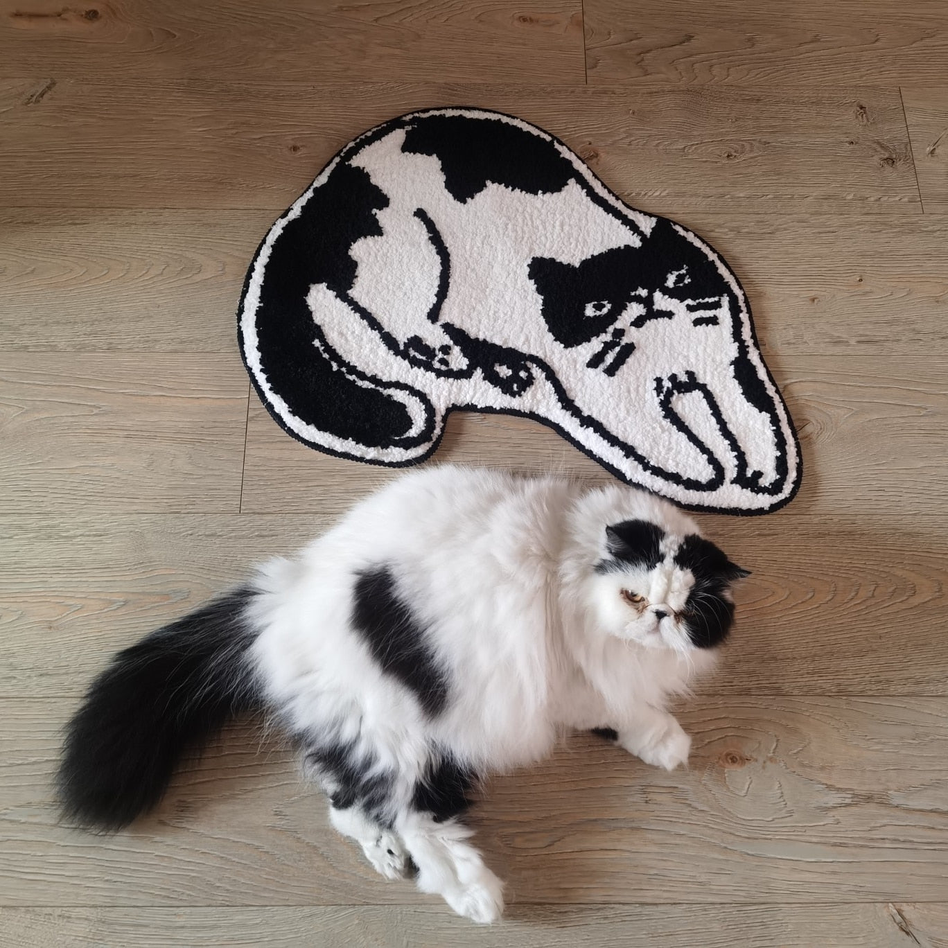 Cat Shaped Floor Mat