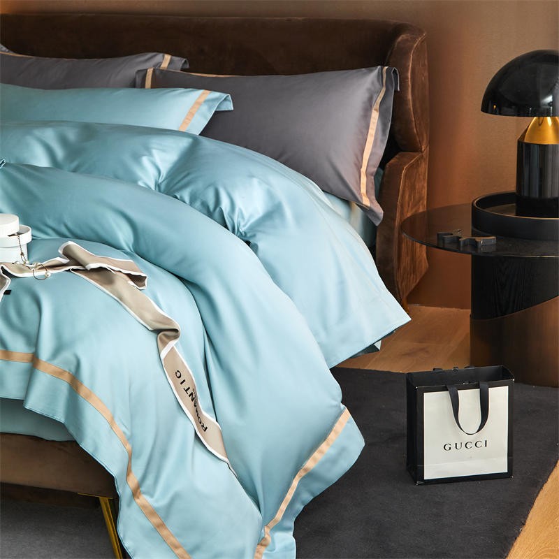 Karine Seafoam Blue Modern Stripe Border Egyptian Cotton Bedding Set