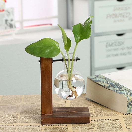 Terrarium Flask Planter Vase bulb flask planter