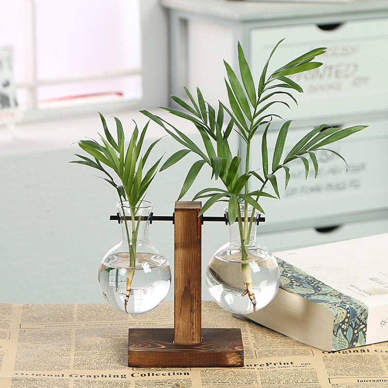 Terrarium Flask Planter Vase bulb flask planter