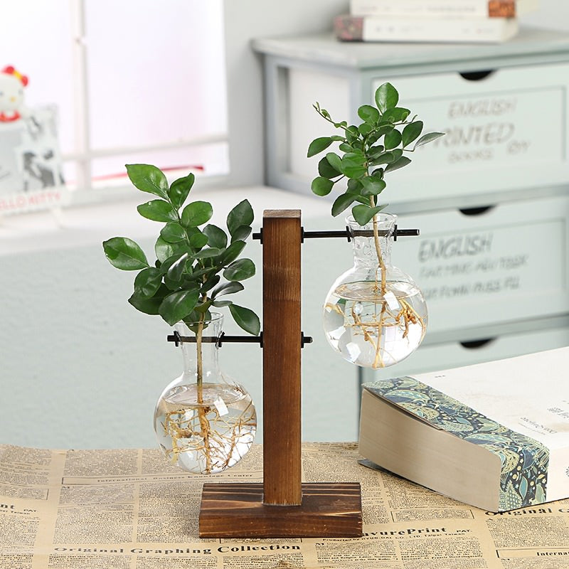 Terrarium Flask Planter Vase bulb flask planter