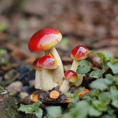 Tiny Mushrooms Figurine AESTHETIC_Cottagecore AESTHETIC_Fairycore AESTHETIC_Mushroom SUB CATEGORY_Desk Accessories