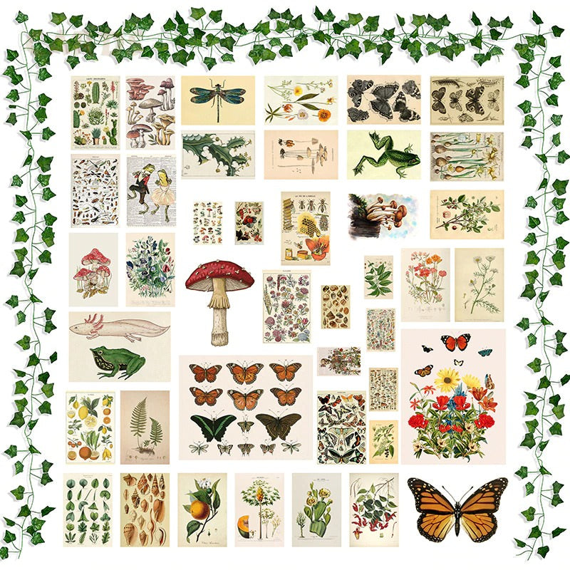 Vintage Botanical Wall Collage Kit AESTHETIC_Cottagecore SUB CATEGORY_Wall Decor