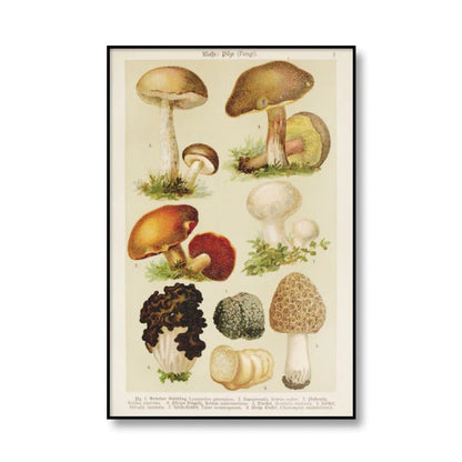 Vintage Mushrooms Canvas Posters AESTHETIC_Cottagecore AESTHETIC_Mushroom SUB CATEGORY_Posters
