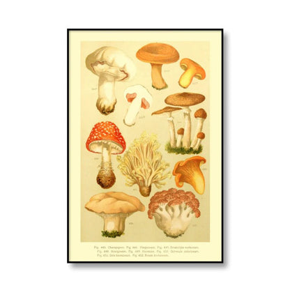 Vintage Mushrooms Canvas Posters AESTHETIC_Cottagecore AESTHETIC_Mushroom SUB CATEGORY_Posters