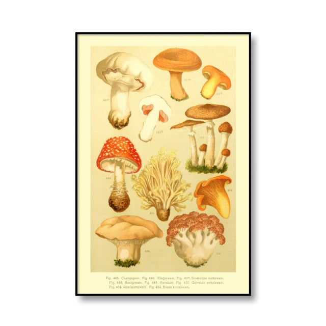 Vintage Mushrooms Canvas Posters AESTHETIC_Cottagecore AESTHETIC_Mushroom SUB CATEGORY_Posters