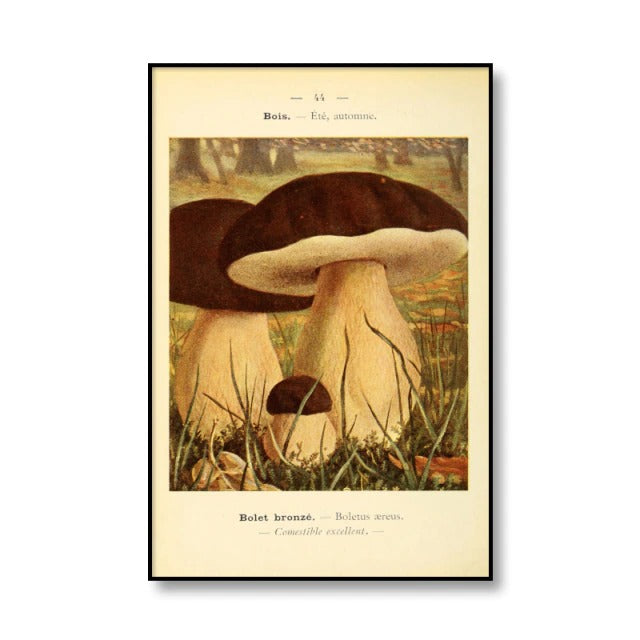 Vintage Mushrooms Canvas Posters AESTHETIC_Cottagecore AESTHETIC_Mushroom SUB CATEGORY_Posters