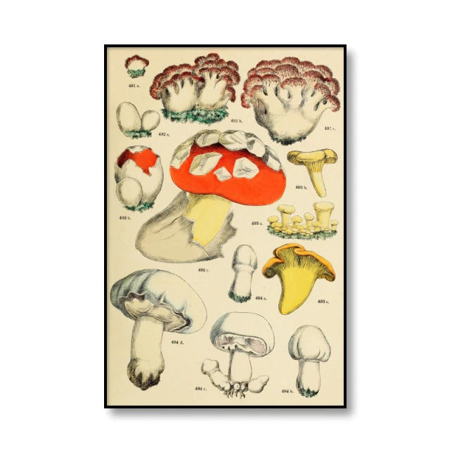 Vintage Mushrooms Canvas Posters AESTHETIC_Cottagecore AESTHETIC_Mushroom SUB CATEGORY_Posters