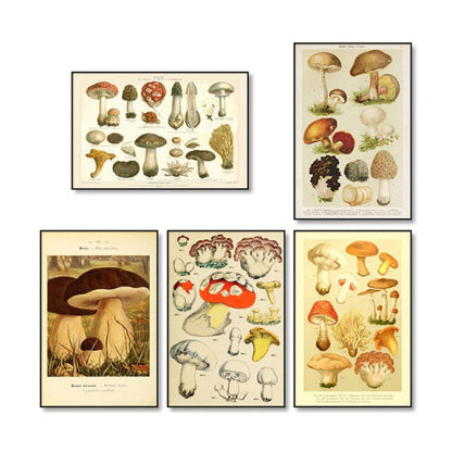 Vintage Mushrooms Canvas Posters AESTHETIC_Cottagecore AESTHETIC_Mushroom SUB CATEGORY_Posters