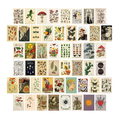 Retro Botanical Wall Collage Cards AESTHETIC_Cottagecore SUB CATEGORY_Poster Cards