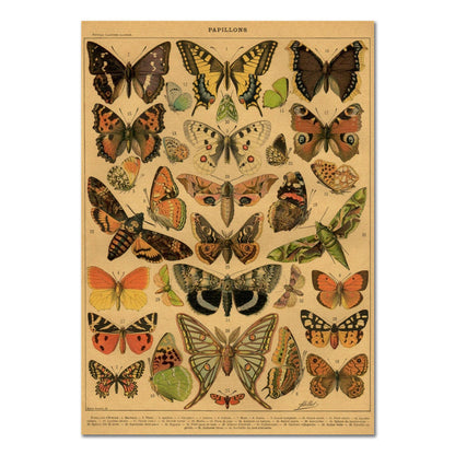 Papillons Kraft Paper Poster butterflies retro SUB CATEGORY_Posters vintage poster vintage print