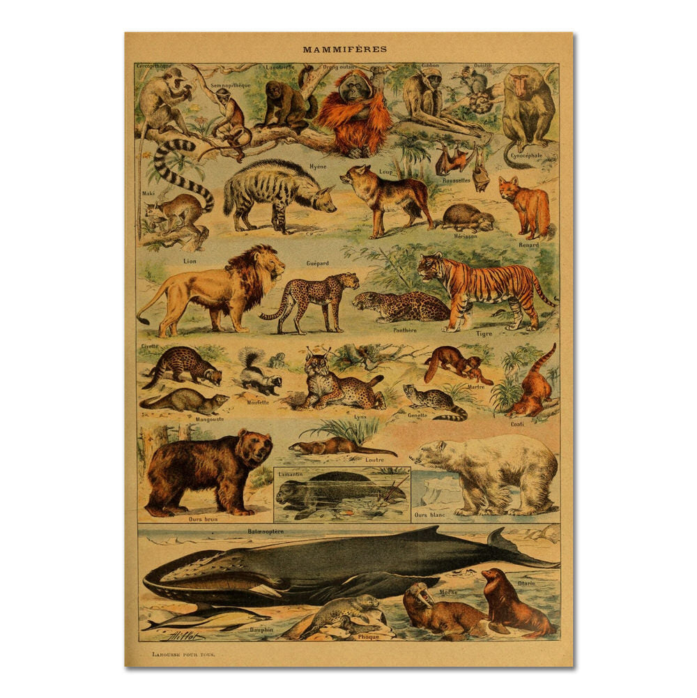 Mammals Vintage Kraft Paper Poster animal retro SUB CATEGORY_Posters vintage poster vintage print whale