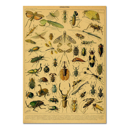 Insects Vintage Kraft Paper Poster insectes insects retro SUB CATEGORY_Posters vintage poster vintage print