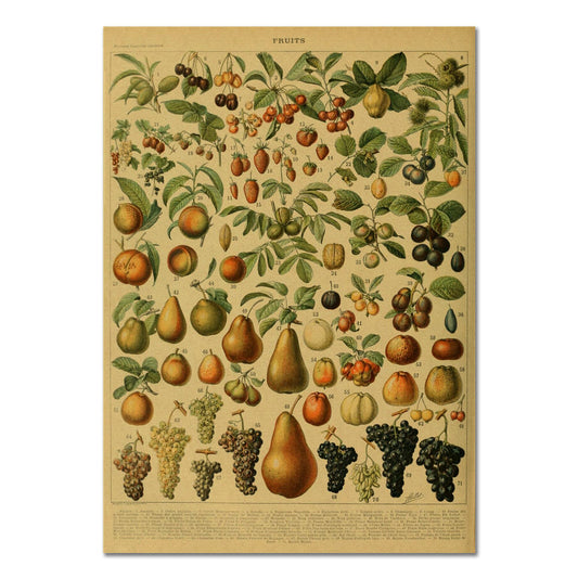 Fruits Vintage Kraft Paper Poster fruits retro SUB CATEGORY_Posters vintage poster vintage print