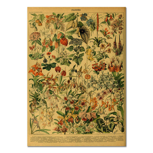 Flowers Vintage Kraft Paper Poster floral flowers retro SUB CATEGORY_Posters vintage poster vintage print