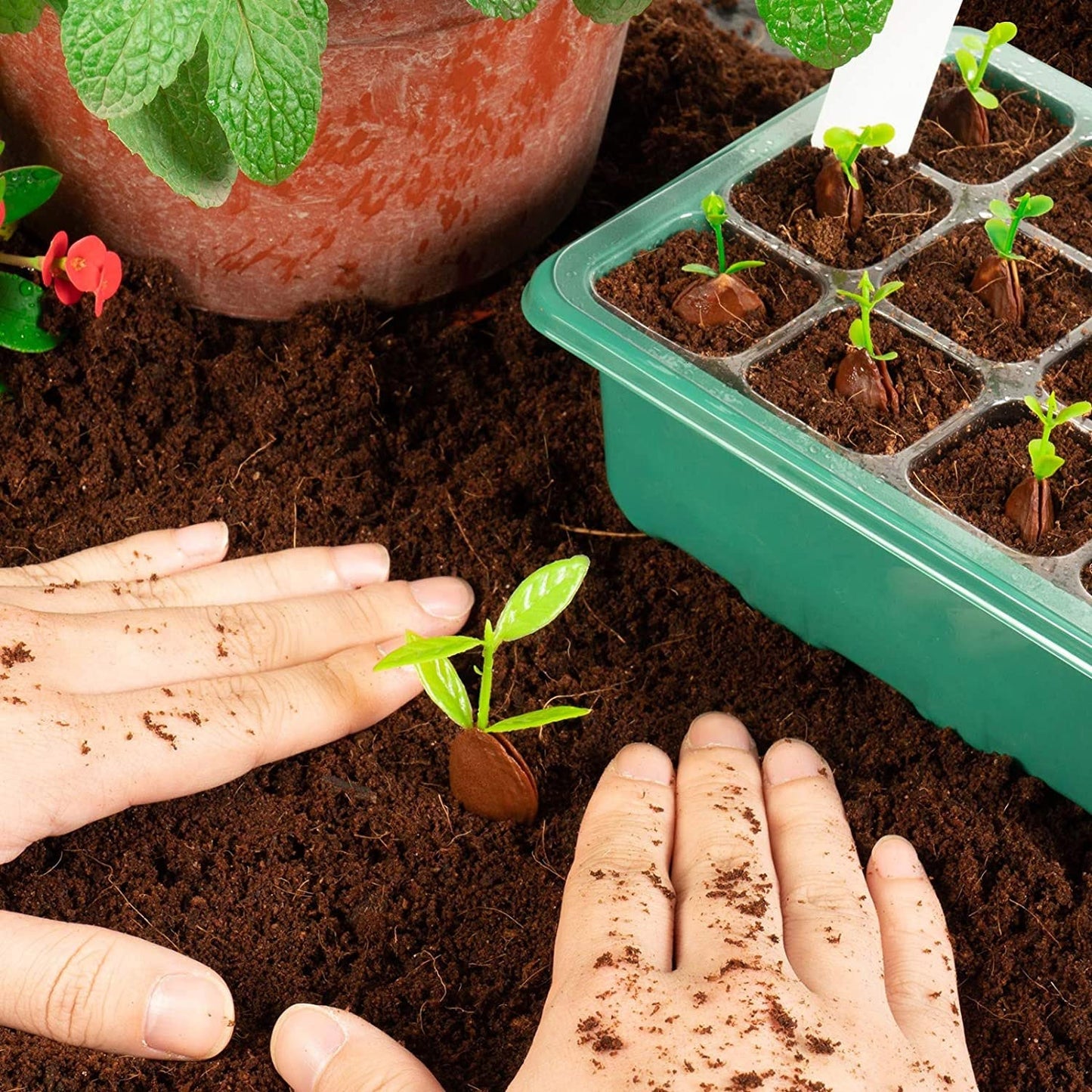 10-Piece: Reusable Seed Starter Tray Kit __stock:50 Garden & Patio refund_fee:1200