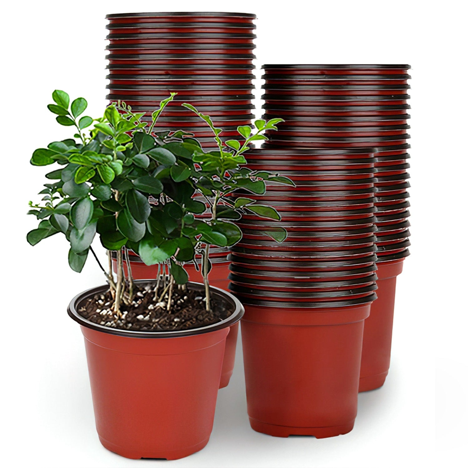 100 cm plastic plant pots 100-Piece: Plastic Plant Nursery Pots