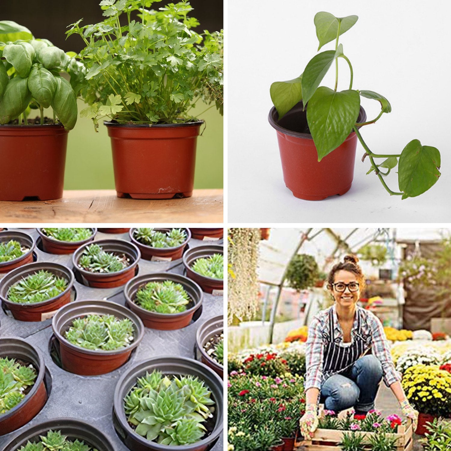 100 cm plastic plant pots 100-Piece: Plastic Plant Nursery Pots
