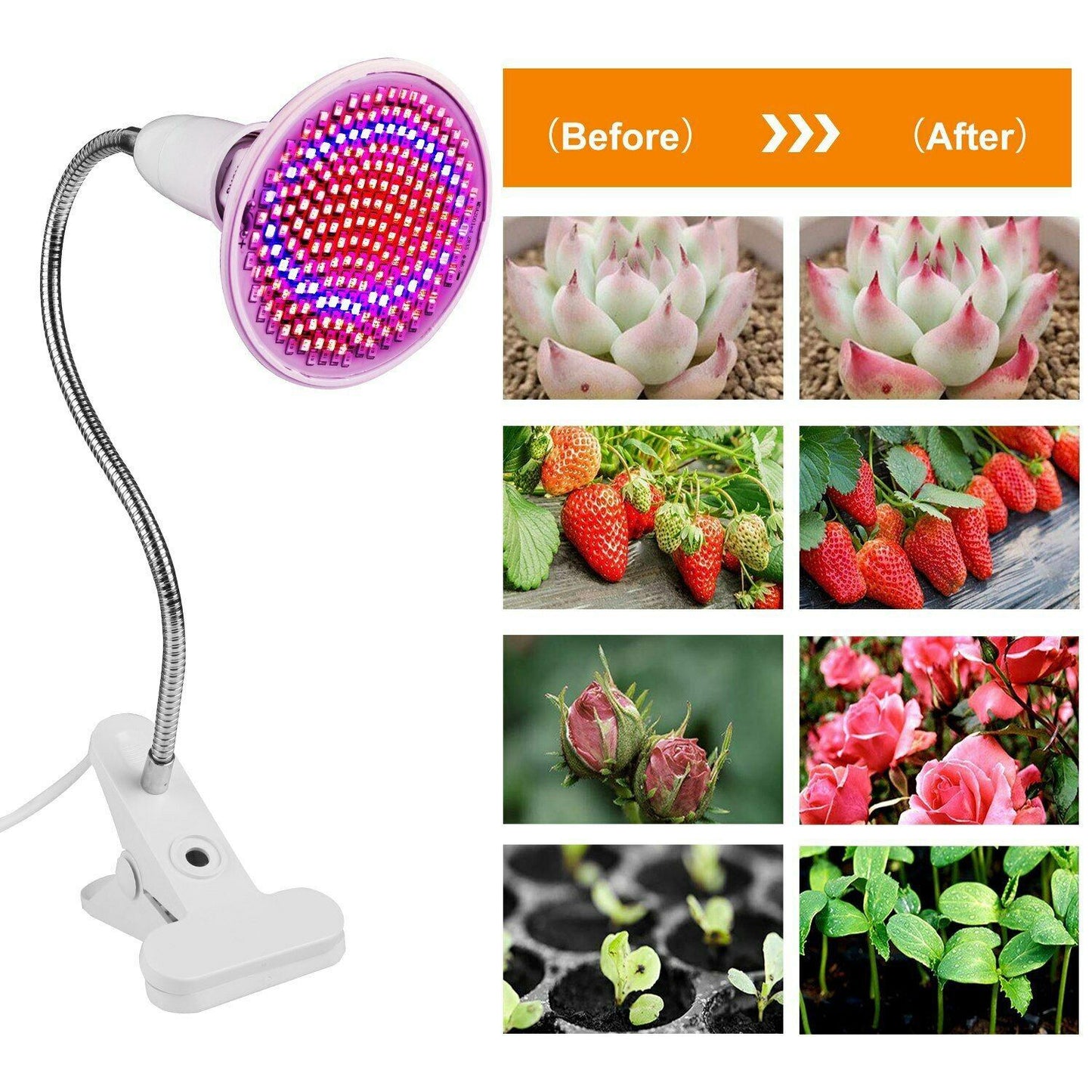 12W LED 360° Rotatable Plant Grow Light with Desk Clip __stock:250 Garden & Patio refund_fee:1200 Warranty