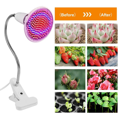 12W LED 360° Rotatable Plant Grow Light with Desk Clip __stock:250 Garden & Patio refund_fee:1200 Warranty