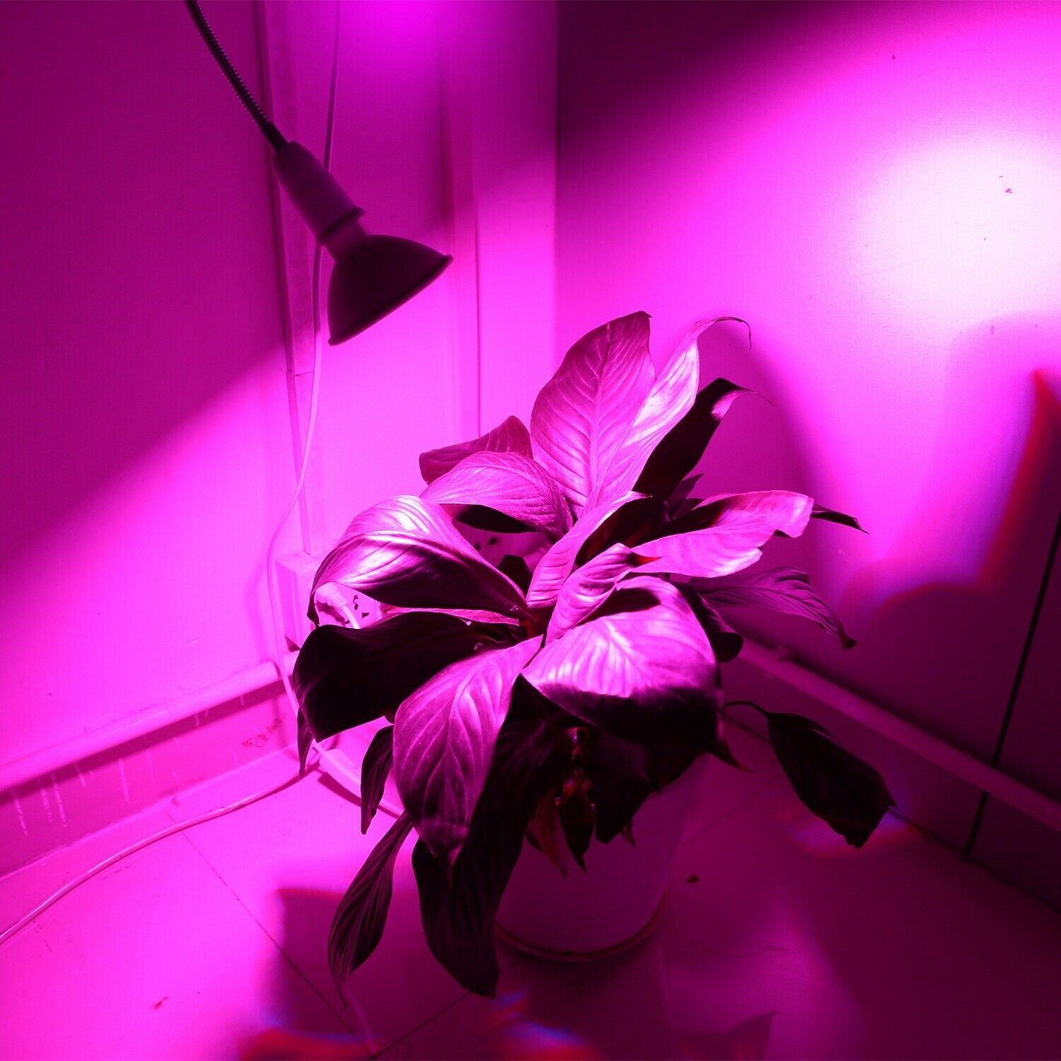 12W LED 360° Rotatable Plant Grow Light with Desk Clip __stock:250 Garden & Patio refund_fee:1200 Warranty