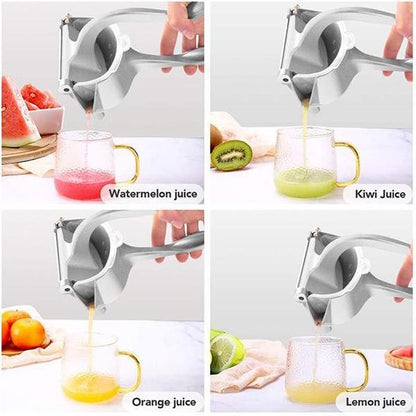 Stainless Steel Juicer chi Kitchen & Dining